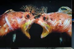 IMG-20250405-WA0015