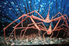 IMG-20250405-WA0016
