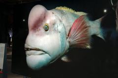 IMG-20250405-WA0017