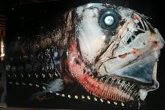 IMG-20250405-WA0018