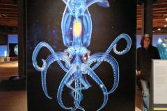 IMG-20250405-WA0019